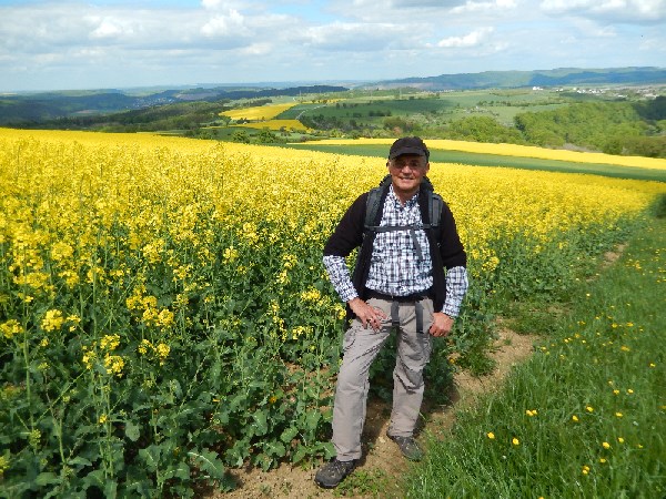 rapsfeld